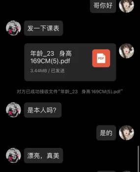 柔情小辣女