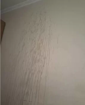 风骚美妇水娘娘，逼紧活好色欲强，潮喷可射两三米，水量惊人流满床。